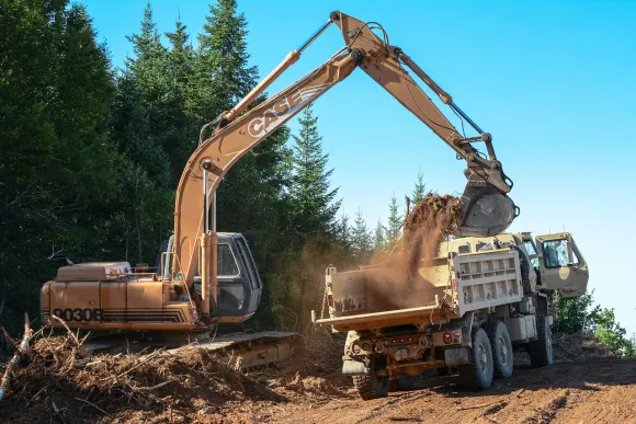 カジノ ルート ベット サポート